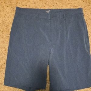 Old Navy Blue Flat Front Shorts